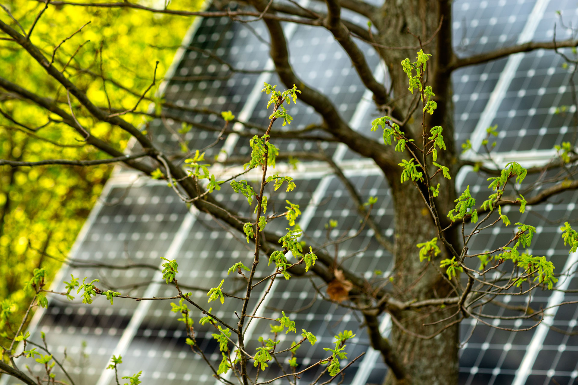 Saubere Energie auf Ihrem Dach – mit Photovoltaik